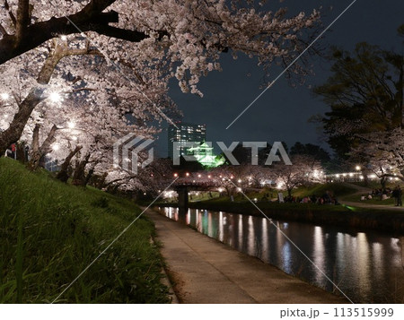 愛知県の岡崎城と夜桜 愛知県の岡崎城と夜桜 113515999