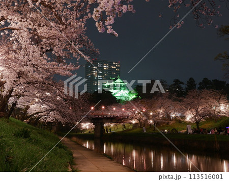 愛知県の岡崎城と夜桜 113516001