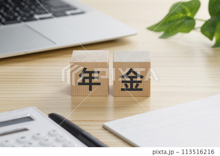 年金と書かれた積み木のブロック 113516216