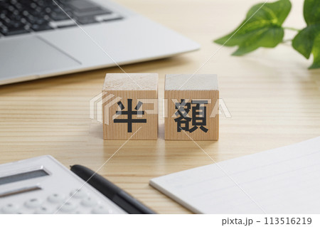 半額と書かれた積み木のブロック 113516219