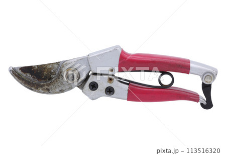 Red pruner isolated on white background 113516320