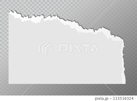 Realistic ripped white paper sheets isolated on transparent background. Torn blank pages with uneven texture. Vector Realistic ripped white paper sheets isolated on transparent background. Torn blank pages with uneven texture. Vector 113516324