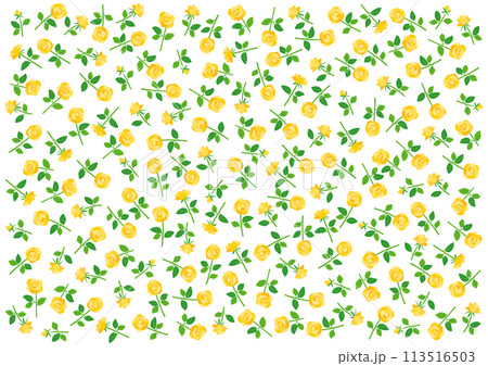 黄色いバラの花柄背景イラスト 黄色いバラの花柄背景イラスト 113516503