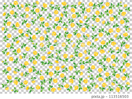 黄色いバラの花柄背景イラスト 黄色いバラの花柄背景イラスト 113516503