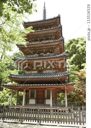 海住山寺 国宝の五重塔 海住山寺 国宝の五重塔 113516529