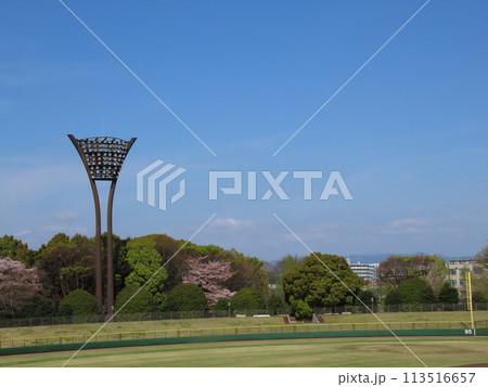野球場の照明 113516657