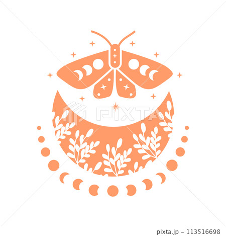 bohemian moon with butterfly and moon phase 113516698