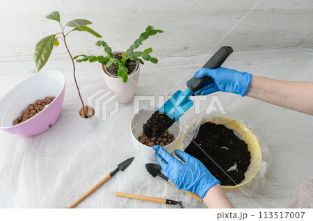 Female hands in gloves pour soil into a pot. Female hands in gloves pour soil into a pot. 113517007