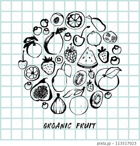 Vector hand drawn healthy food illustration. Vintage style. Retro sketch background 113517023