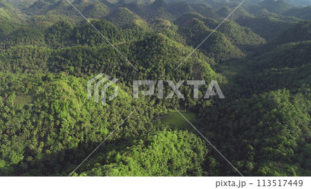 Asia green hills rainforest aerial view: greenery plants at mountain ranges. Philippines landmark 113517449