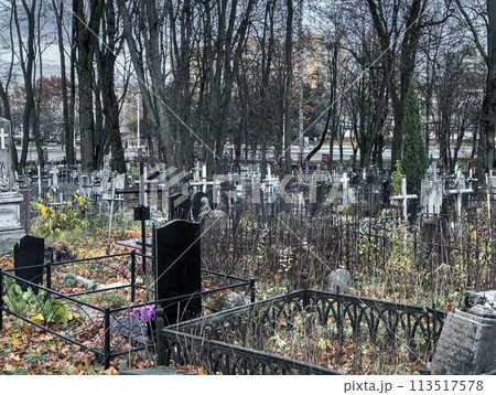 Gloomy cemetery, graveyard with tombstones, crosses and trees 113517578