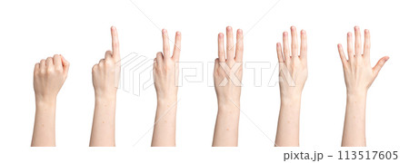 Hand count, fingers showing digits, numbers from zero, one two three four fist to five Hand count, fingers showing digits, numbers from zero, one two three four fist to five 113517605