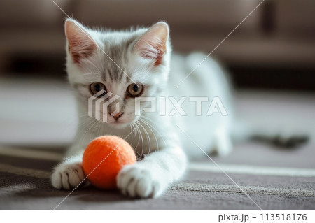 An adorable kitten happily engages with an orange ball on the floor. 113518176