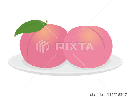 白い皿に載った桃のイラスト 113518347