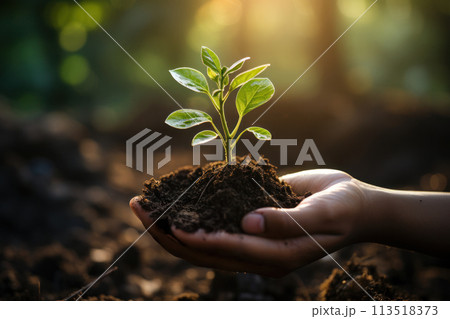 Hands holding green young sprout on green nature background. Earth Day. Copy space. Hands holding green young sprout on green nature background. Earth Day. Copy space. 113518373