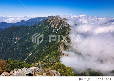 北アルプスの後立山連峰の稜線 113518384