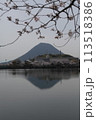 讃岐富士と桜 113518386