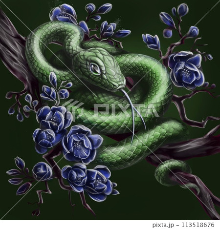 Green snake on a magnolia branch. Green snake on a magnolia branch. 113518676