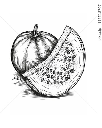 Detailed black and white line art of a watermelon slice on a white background Detailed black and white line art of a watermelon slice on a white background 113518707