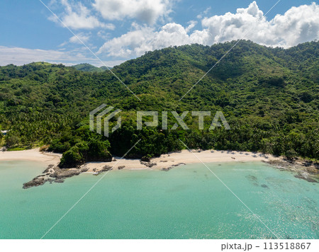 Sun reflection on turquoise sea water, white sands palm trees in Diapela Beach. El Nido, Philippines. 113518867