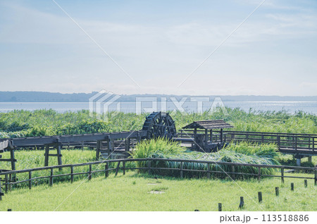 茨城　霞ヶ浦総合公園（土浦市） 113518886