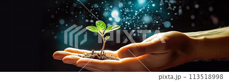 A womans hand cradles a handful of earth with a fresh green sprout 113518998
