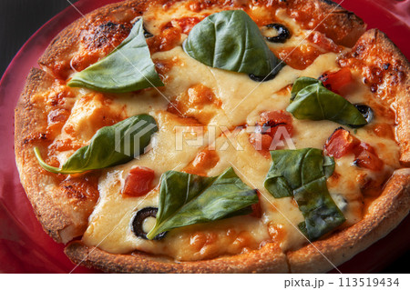 美味しいピザ 美味しいピザ 113519434