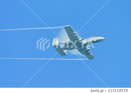 アメリカ空軍A-10AサンダーボルトII攻撃機 113519579