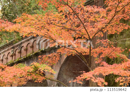 秋の彩りを映す南禅寺の紅葉 秋の彩りを映す南禅寺の紅葉 113519642