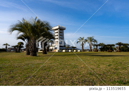 ゆったりとした空間、蓮沼公園 ゆったりとした空間、蓮沼公園 113519655