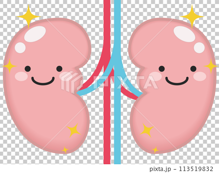 健康な腎臓と腎臓のキャラクター 113519832