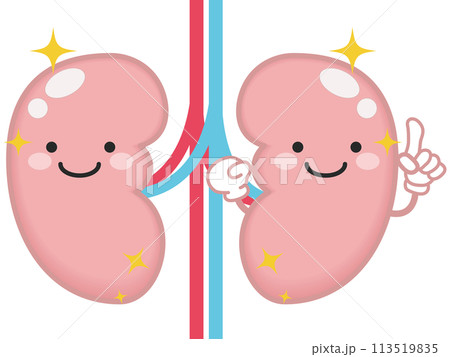 健康な腎臓と腎臓のキャラクター 113519835