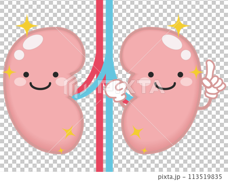 健康な腎臓と腎臓のキャラクター 113519835