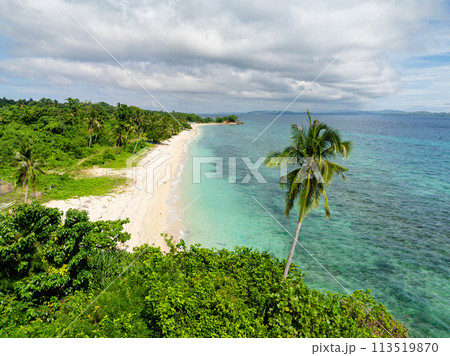 Tropical beach with clear water waves. Coconut trees in coastline. Carabao Island. San Jose, Romblon. Philippines. 113519870