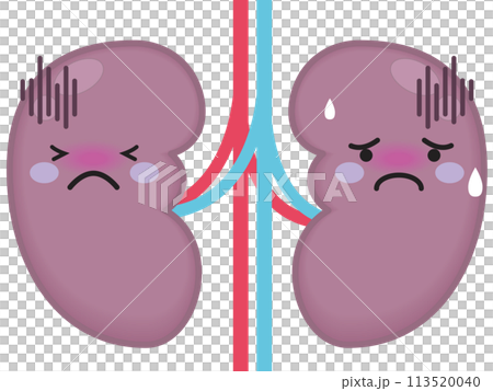 不健康な腎臓と腎臓のキャラクター 113520040