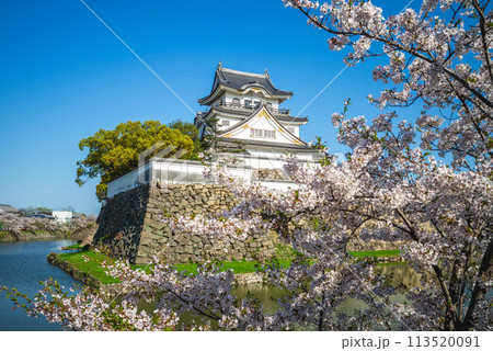 Kishiwada Castle, a Japanese castle located in Kishiwada city, Osaka, Japan. 113520091