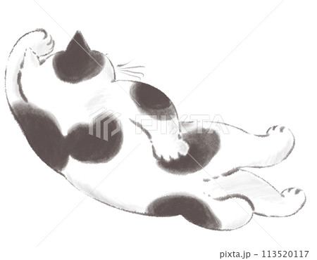 ゴロゴロするブチ猫のイラスト 水墨画風 ゴロゴロするブチ猫のイラスト 水墨画風 113520117