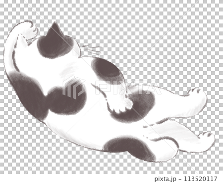 ゴロゴロするブチ猫のイラスト 水墨画風 ゴロゴロするブチ猫のイラスト 水墨画風 113520117