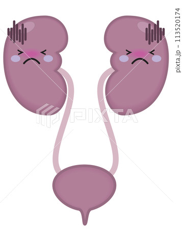 不健康な腎臓と腎臓のキャラクター 113520174
