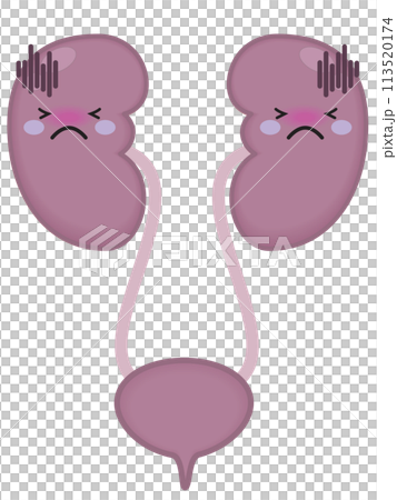不健康な腎臓と腎臓のキャラクター 113520174