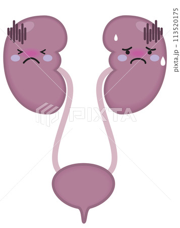 不健康な腎臓と腎臓のキャラクター 不健康な腎臓と腎臓のキャラクター 113520175