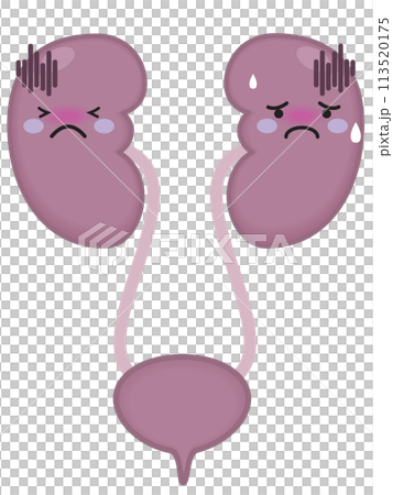 不健康な腎臓と腎臓のキャラクター 不健康な腎臓と腎臓のキャラクター 113520175