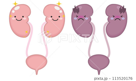 泌尿器と腎臓のキャラクター 113520176