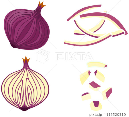 玉葱のカットイラスト 113520510