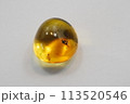虫入り琥珀コハク 113520546