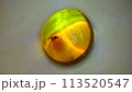 虫入り琥珀コハク 113520547