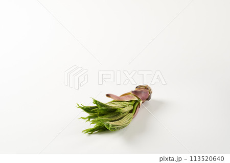 山菜コシアブラ　イメージ 113520640