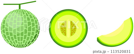 メロンのカットイラスト メロンのカットイラスト 113520831