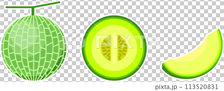 メロンのカットイラスト メロンのカットイラスト 113520831