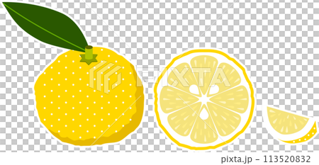 柚子のカットイラスト 113520832